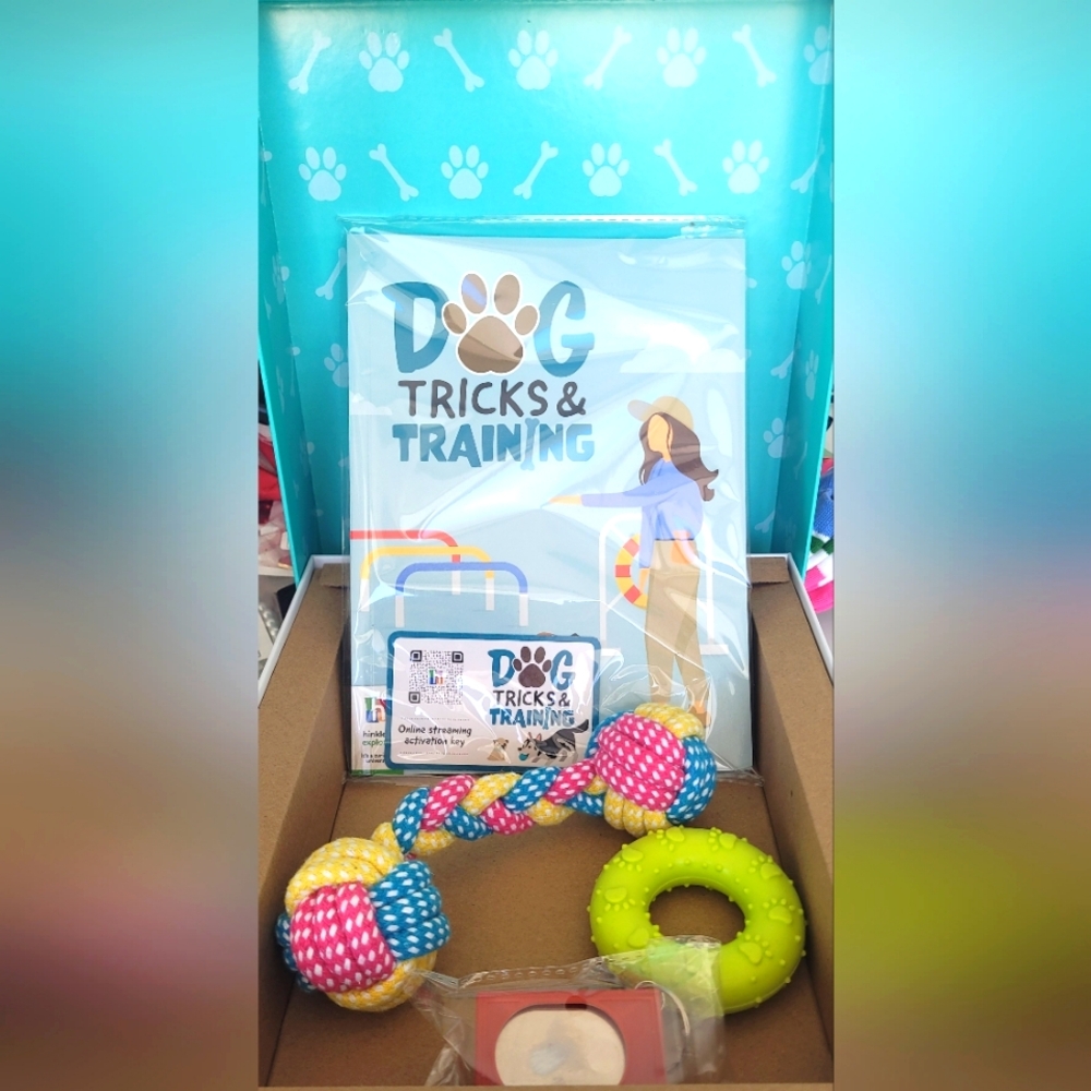 Dog Tricks & Training - Picture 6 of 6